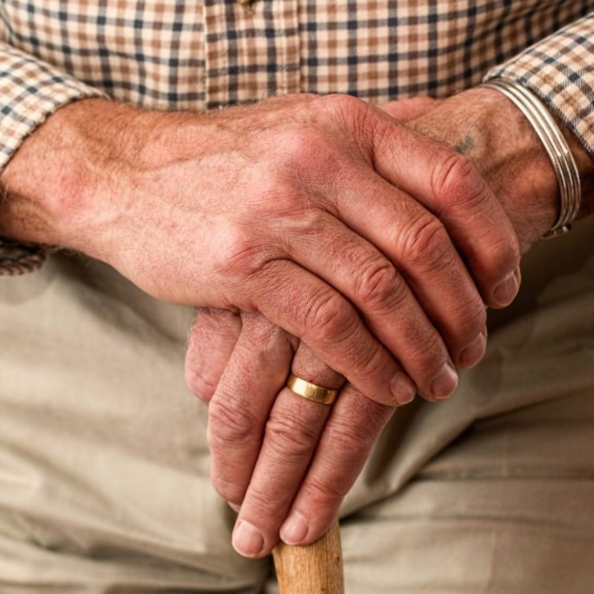 aged-cane-elder-33786-web-1024x683